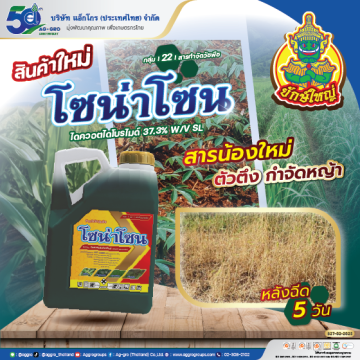 Artboard 1AW โซน่าโซน AG ปี68 Web